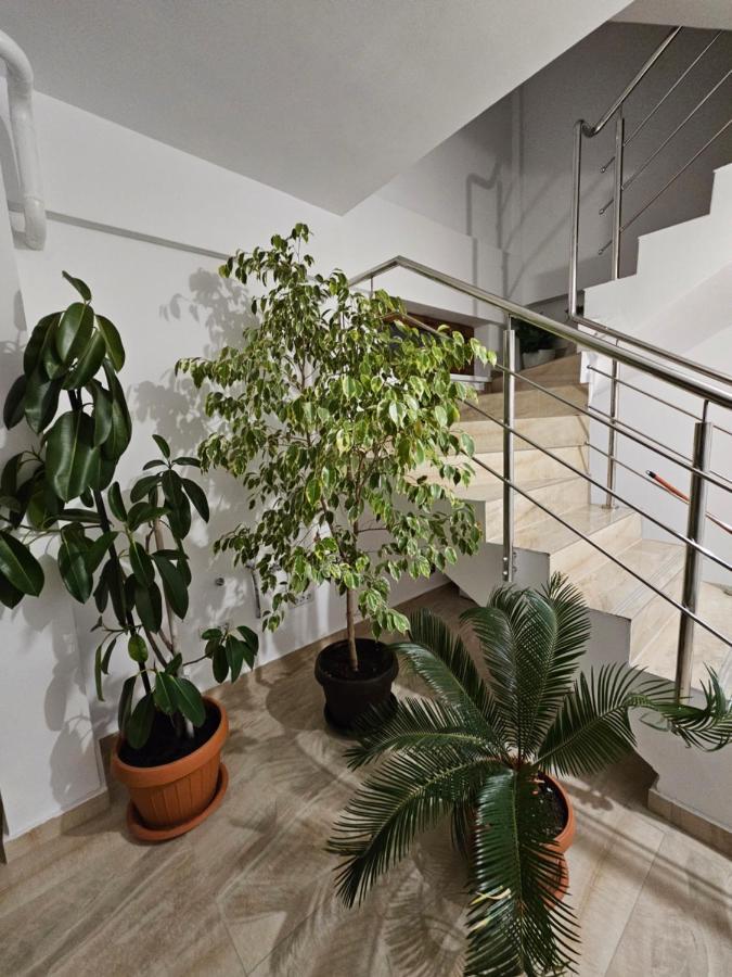 Didi Apartament Craiova Ngoại thất bức ảnh